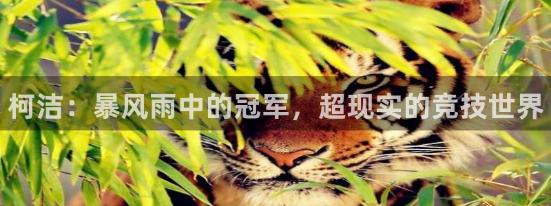 51视频在线直播nba：柯洁：暴风雨中的冠军，超现实的竞技世界