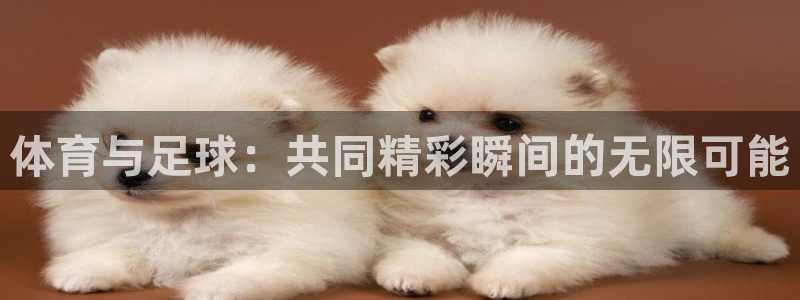 51视频在线直播nba：体育与足球：共同精彩瞬间的无限可能