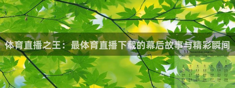 51视频在线直播nba：体育直播之王：最体育直播下载的幕后故事与精彩瞬间