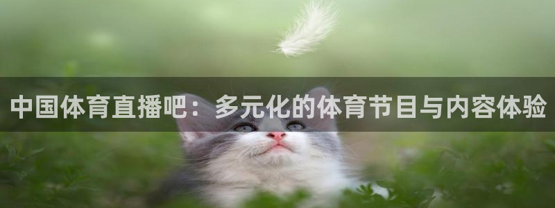 51视频在线直播nba：中国体育直播吧：多元化的体育节目与内容体验