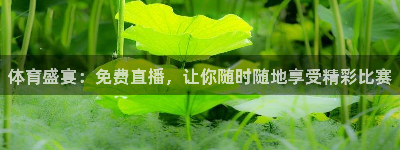 51视频在线直播nba：体育盛宴：免费直播，让你随时随地享受精彩比赛