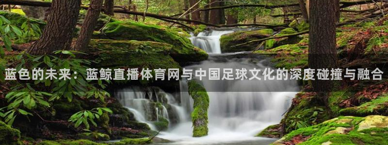 51视频在线直播nba：蓝色的未来：蓝鲸直播体育网与中国足球文化的深度碰撞与融合