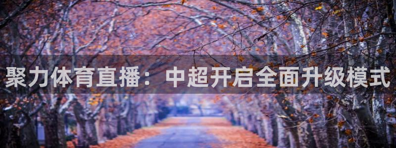 51视频在线直播nba：聚力体育直播：中超开启全面升级模式