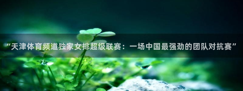 51视频在线直播nba：“天津体育频道独家女排超级联赛：一场中国最强劲的团队对抗赛”